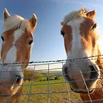 Aldeamento Turístico Roompot Schin Op Geul