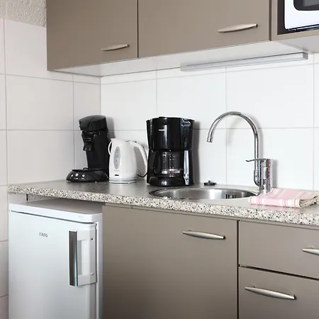 Roompot Schin Op Geul 3* Born