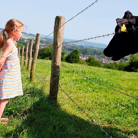 Roompot Schin Op Geul Aldeamento Turístico 3*