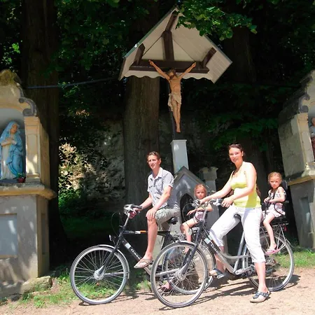 Roompot Schin Op Geul 3* Born