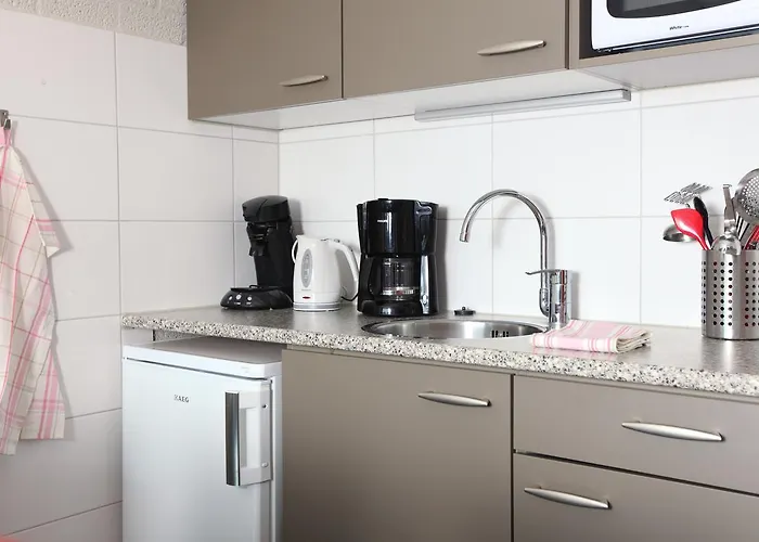 Roompot Schin Op Geul 3* Born