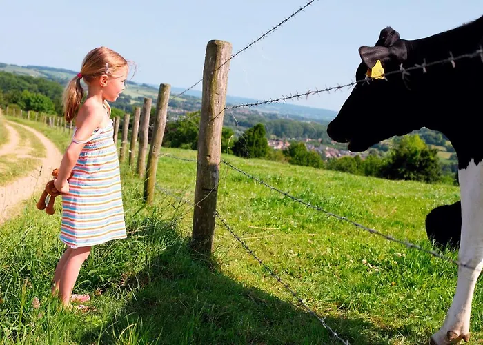 Roompot Schin Op Geul База отдыха 3*