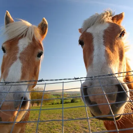 Ferienpark Roompot Schin Op Geul